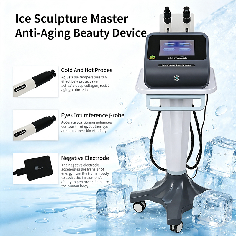 Ice Sculpture Master RF Gezich - Master Nutrition & Fitness Club Kuchaman City Reviews recensie en prijs